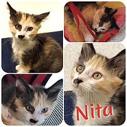Photo of Nita