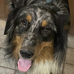 Photo of Rocket Robert