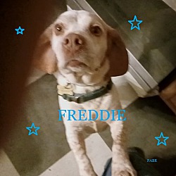 Photo of FREDDIE
