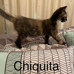 Photo of Chiquita