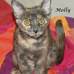 Photo of MOLLY