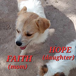 Photo of Faith and Hope
