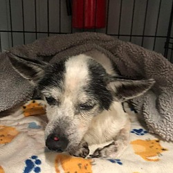 Photo of Ernie