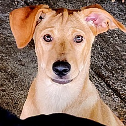 Thumbnail photo of Lydia #1