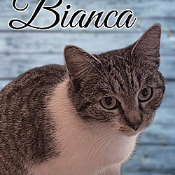 Thumbnail photo of Bianca #3