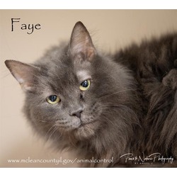 Photo of FAYE