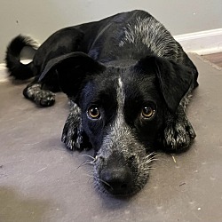 Photo of Heidi