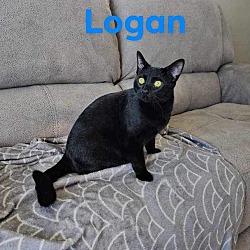 Thumbnail photo of Logan #3