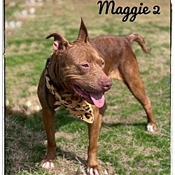Thumbnail photo of Maggie2 #4