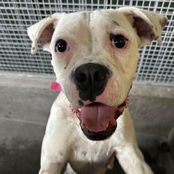 Photo of Bianca A2136992