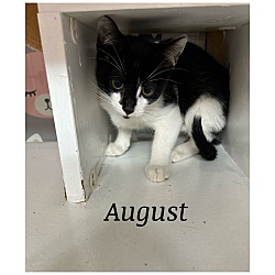 Photo of August