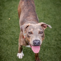 Thumbnail photo of JERRY-A2157671 #2