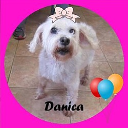 Thumbnail photo of Danica #1