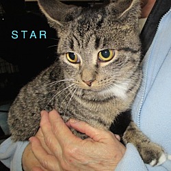 Thumbnail photo of STAR #1