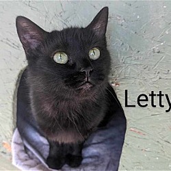 Thumbnail photo of Letty #3
