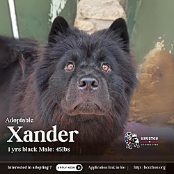 Photo of Xander