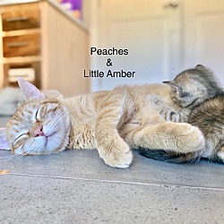 Photo of Amber and Mom Peaches