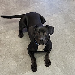 Photo of Swayze