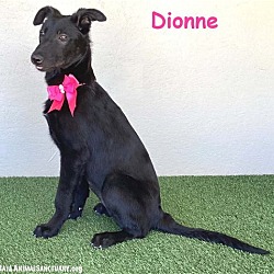Photo of Dionne