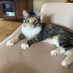 Photo of Taffy