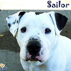 Photo of Sailor