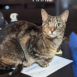 Thumbnail photo of Annie #4