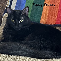 Thumbnail photo of Fuzzy Wuzzy #2