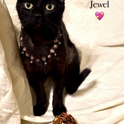 Thumbnail photo of Jewel - Courtesy Post #1