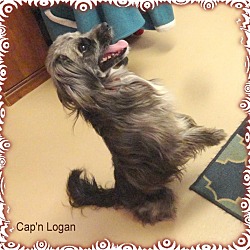 Thumbnail photo of Cap'n Logan #1