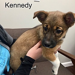 Thumbnail photo of Kennedy #1