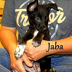 Thumbnail photo of Jaba ~ meet me! #1
