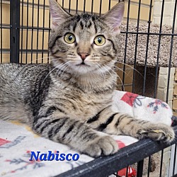Photo of Nabisco