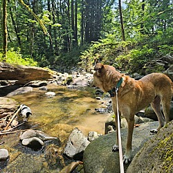 Thumbnail photo of Adil - Gentle Soul from the Westbank #4