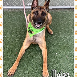 Photo of MAJOR