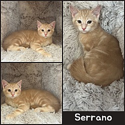Photo of Serrano