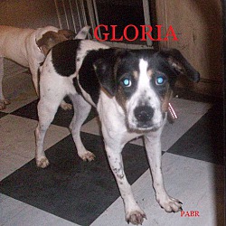 Photo of GLORIA