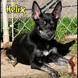 Thumbnail photo of Helix #1