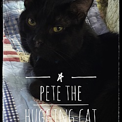 Thumbnail photo of Pete #1