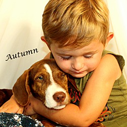Thumbnail photo of Autumn~adopted! #4