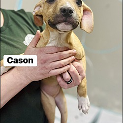 Photo of Cason
