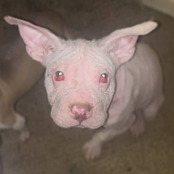 Photo of CASPER