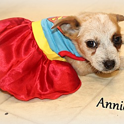 Thumbnail photo of Annie #3