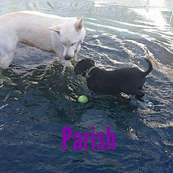 Thumbnail photo of Parish #1