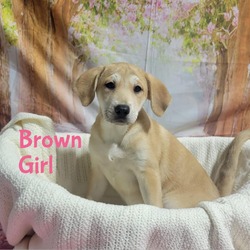 Thumbnail photo of Brown girl #2