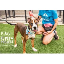 Thumbnail photo of K'Jay #2