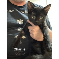 Thumbnail photo of Charlie #2