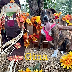 Thumbnail photo of Gina #1