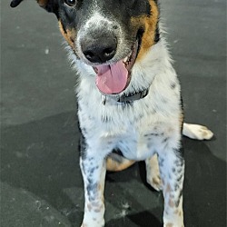 Photo of Scottie