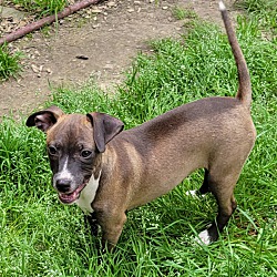 Photo of Baby Girl