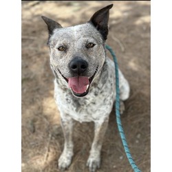 Photo of JETSON